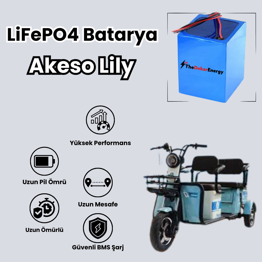 Akeso Lily LiFePO4 Batarya