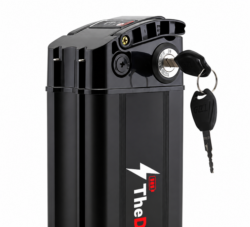 36V 25 Ah Li-ion E-Bike Bataryası
